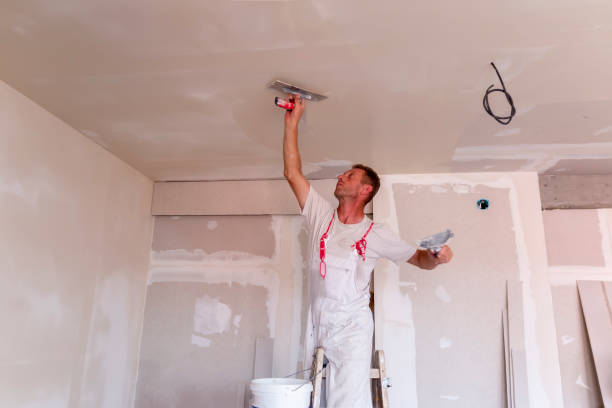 Best Commercial Drywall Repair  in USA